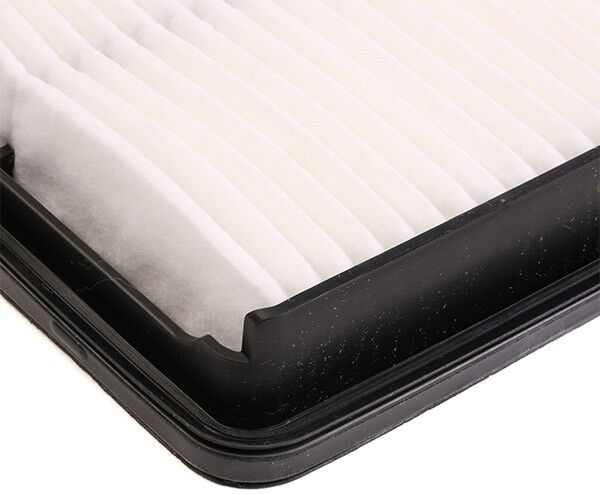 MANN-FILTER C 29 019 Air filter