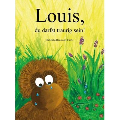 Louis, du darfst traurig sein!, Gebundene Ausgabe von Rebekka Baumann-Fuchs, Mosaicstones GmbH | Verlag & Buchhandel, 978-3-03965-023-1