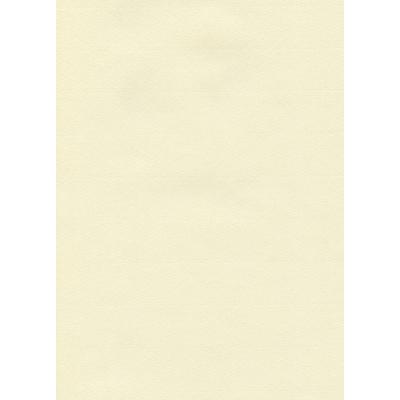 Hahnemühle Papier The Collection - Ingres Pastel, ca. 62,5 x 48 cm, 100 g/m², 25 Bogen