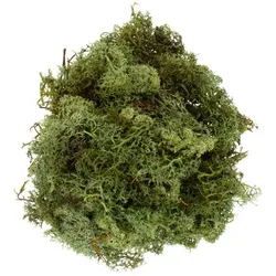 Islandmoos, grün, 250 g