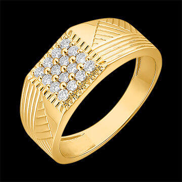 Edenly Ring DÃ¤mmerschein - Siegelring mit Gravuren - 9 Karat Gelbgold und Diam