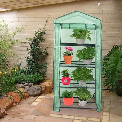 Mini Greenhouse Indoor Outdoor Plant Shelf With Portable Greenhouse PE Cover Mini Greenhouse Indoor Outdoor Plant Shelf With Portable Greenhouse PE Cover