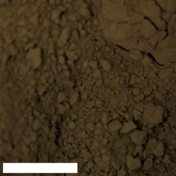 Kreidezeit Pigment Umbra dunkel, Ardennen - 175 g Becher