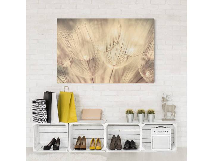 Impression sur toile Pissenlit III Lin Beige 60cm