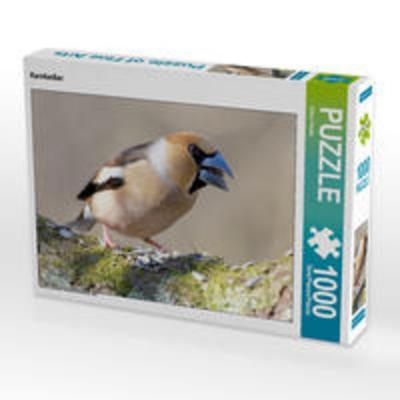 CALVENDO Puzzle Kernbeißer 1000 Teile Lege-Größe 64 x 48 cm Foto-Puzzle Bild von Klaus Feske