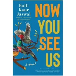 Now You See Us, Belletristik von Balli Kaur Jaswal
