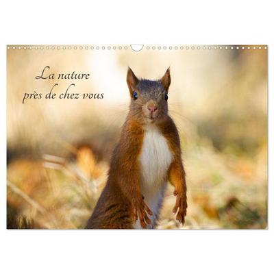 La nature près de chez vous (Calendrier mural 2026 DIN A3 vertical), CALVENDO calendrier mensuel