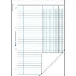 Avery Zweckform Kolonnen-Durchschreibbuch A4 4 Kolonnen 2x50 Blatt