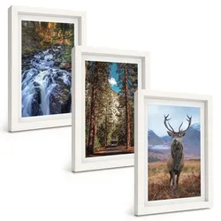 BILDER SET 3er Set - 20x30 cm Weißer Rahmen - Wasserfall Wald Berge Hirsch Natur