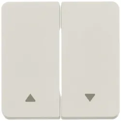 Berker 30753532 Wippe 2fach mit Symbol Pfeil W.1 pw LT