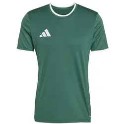 adidas Entrada 26 Trikot Herren - team dark green/white - L