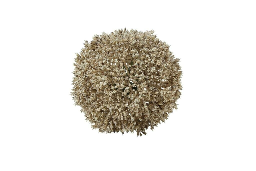 Countryfield deco bol eupatorium creme 11 cm