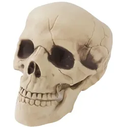 Totenkopf, beige, 21 cm