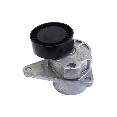Mapco Spannarm, Keilrippenriemen [Hersteller-Nr. 23976] für Volvo