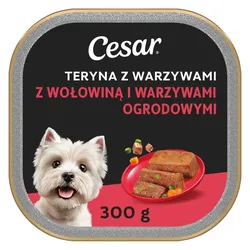 Cesar-Suppe mit Gemüse 300 g mit Rindfleisch und Gartengemüse