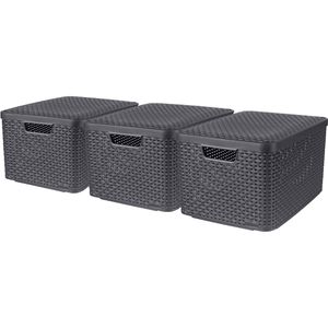 Curver Aufbewahrungsbox Style M 246292, 18L, mit Deckel, Kunststoff, 39 x 29 x 17cm, 3 Stück