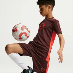 NIKE Academy+ Dri-FIT Fußball Shorts Kinder 658 - mystic dates/bright crimson L (147-158 cm)