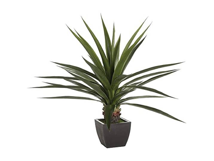 Green Potted Plant Height 130 - Natural Instinct