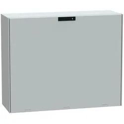 Schneider Electric Querformat NSYPLM810G
