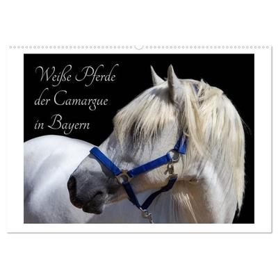 Weiße Pferde der Camargue in Bayern (Wandkalender 2027 DIN A2 quer), CALVENDO Monatskalender