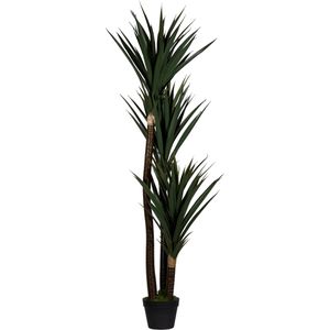 meet-powered-by-PAPERFLOW Kunstpflanze Yucca, Kunstpalme im Topf mit Palmenblättern, Höhe 150 cm