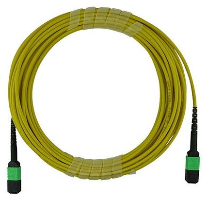 BlueOptics Cisco CB-M12-M12-SMF2M MPO-MPO Multi-mode G.657.A1 Patchkabel 2 Meter