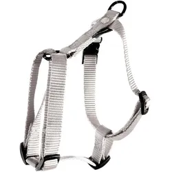Martin Sellier S (S, Hund, Spazieren), Halsband + Leine