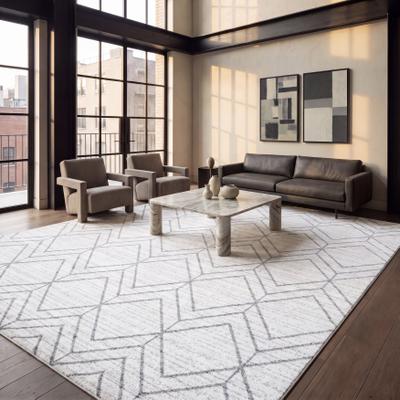 SAFAVIEH Adirondack Benilda Modern Geometric Rug