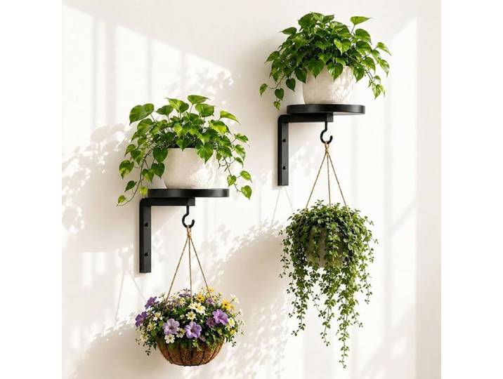 Lot De 2 Supports Muraux Pour Plantes Porte Plante En Métal Avec Plateau Rond Et Crochet Support Mural Pour Pot De Fleur Étagère P