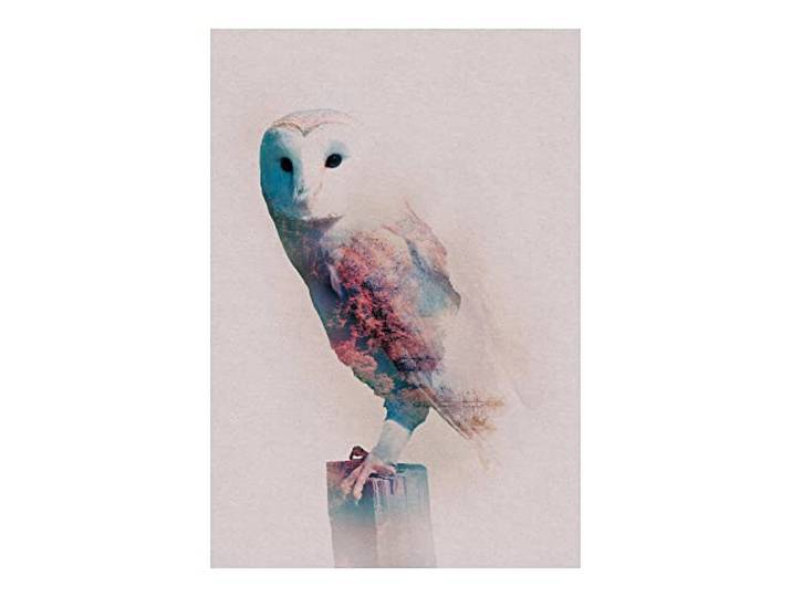 Pyramid International Affiche murale sans cadre Motif chouette animée 50 x 70 cm