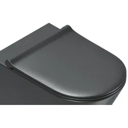 Catalano WC-Sitz Absenkautomatik schwarz 0551200022