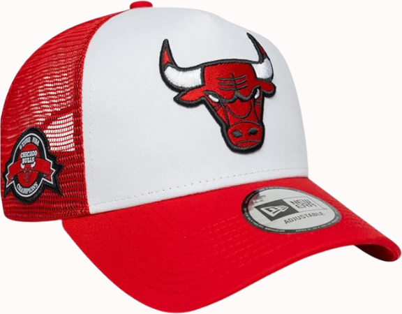 Gorra New Era Chicago Bulls Hombre N/a