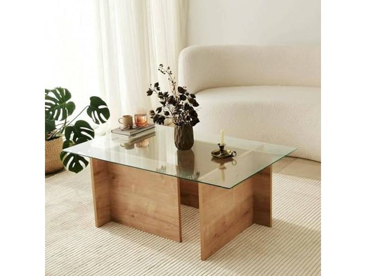Dmora Couchtisch Asellus 105x65x40 cm Braun Zeitschrift