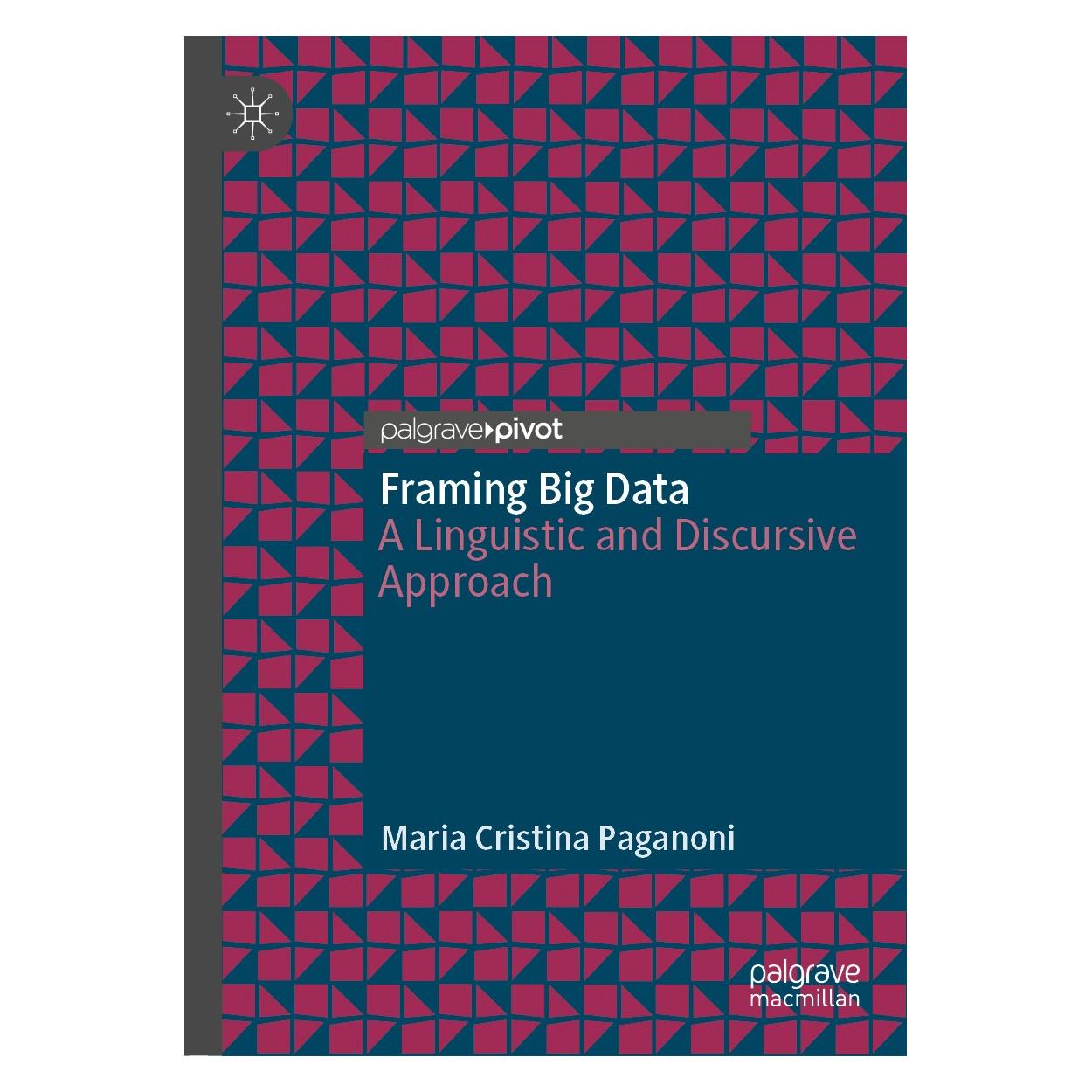 Springer Framing Big Data (9783030167875)