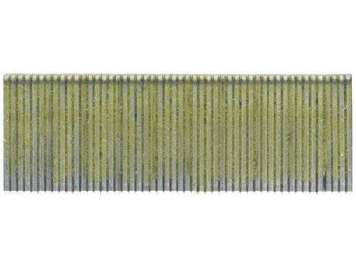 Bosch 3000x Agrafes à dos étroit\, résinifiées\, type 55 Longueur 19 mm Professional Accessoire Agrafeuse sans fil\, Agrafeuse à main