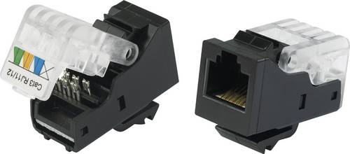 TRU COMPONENTS 93014c936 Modularbuchse, werkzeuglos Buchse, gerade Schwarz 1St.