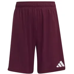 adidas Entrada 26 Shorts Kinder - team maroon 2/white - 116