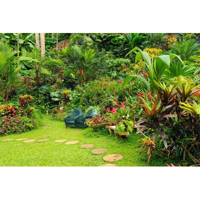 Fototapete PAPERMOON "GARTEN-BLUMEN BÄUME PFLANZEN PARK STEINE WALD BLÜTEN", bunt, B:3m L:2,23m, Vlies, Tapeten