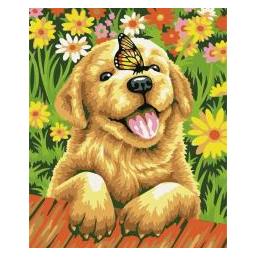 Koh-i-Noor Malen nach Zahlen 40x50cm Hund mit Schmetterling (63883235)