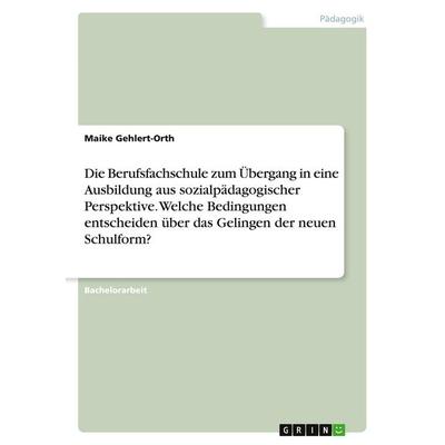 Die Berufsfachschule zum Übergang in eine Ausbildung aus sozialpädagogischer Perspektive. Welche Bedingungen entscheiden über das Gelingen der neuen