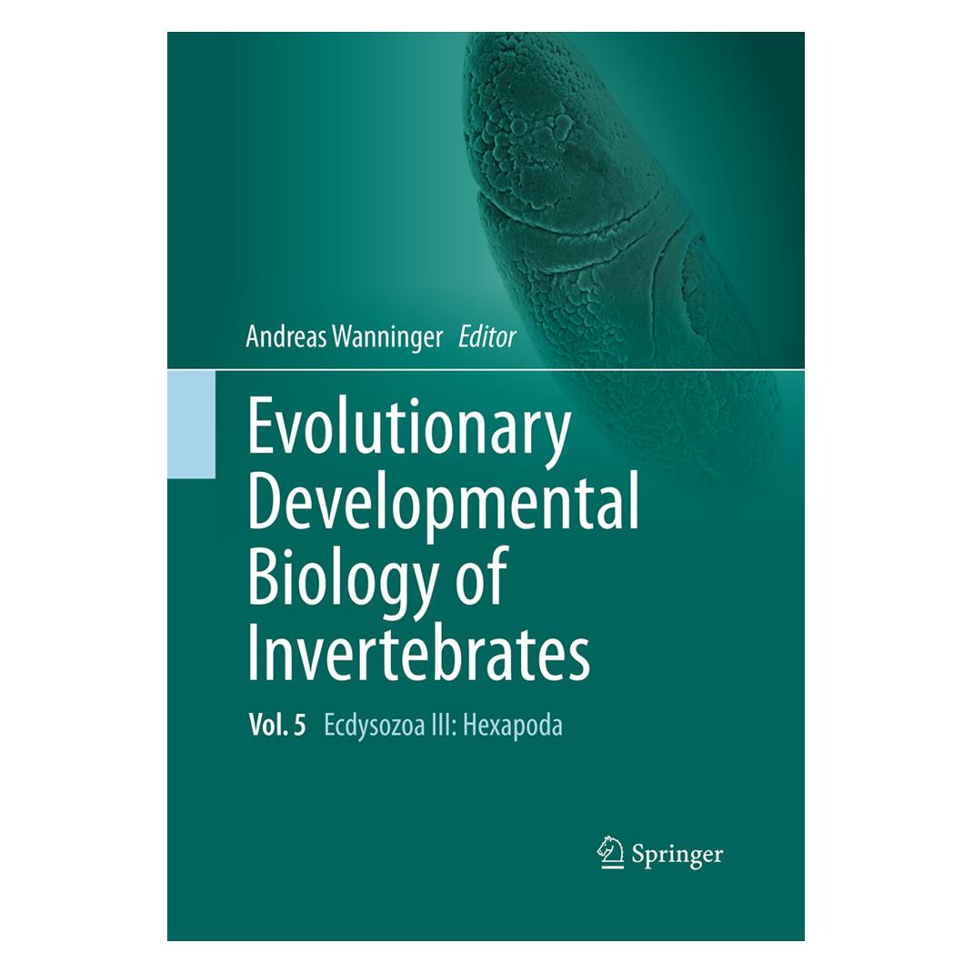 Springer Evolutionary Developmental Biology of Invertebrates 5 (Englisch, Softcover, Andreas Wanninger) (55966688)
