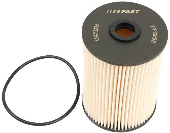 FAST FT10859 Fuel filter