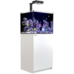 Red Sea REEFER 170 Deluxe (G2 - Modelljahr 2022) 1 x LED 90 Meerwasseraquarium mit Unterschrank weiß