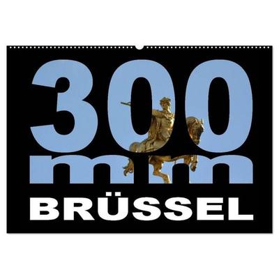 300mm - Brüssel (Wandkalender 2027 DIN A2 quer), CALVENDO Monatskalender