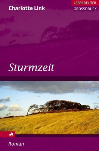 Charlotte Link - Sturmzeit. Großdruck - Preis vom 10.10.2026 11:48:34 h
