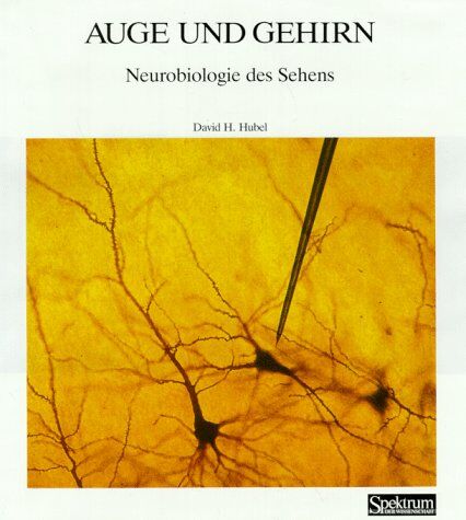 Hubel, David H. - Spektrum-Bibliothek, Bd.20: Auge und Gehirn. Neurobiologie des Sehens - Preis vom 09.10.2026 07:28:09 h
