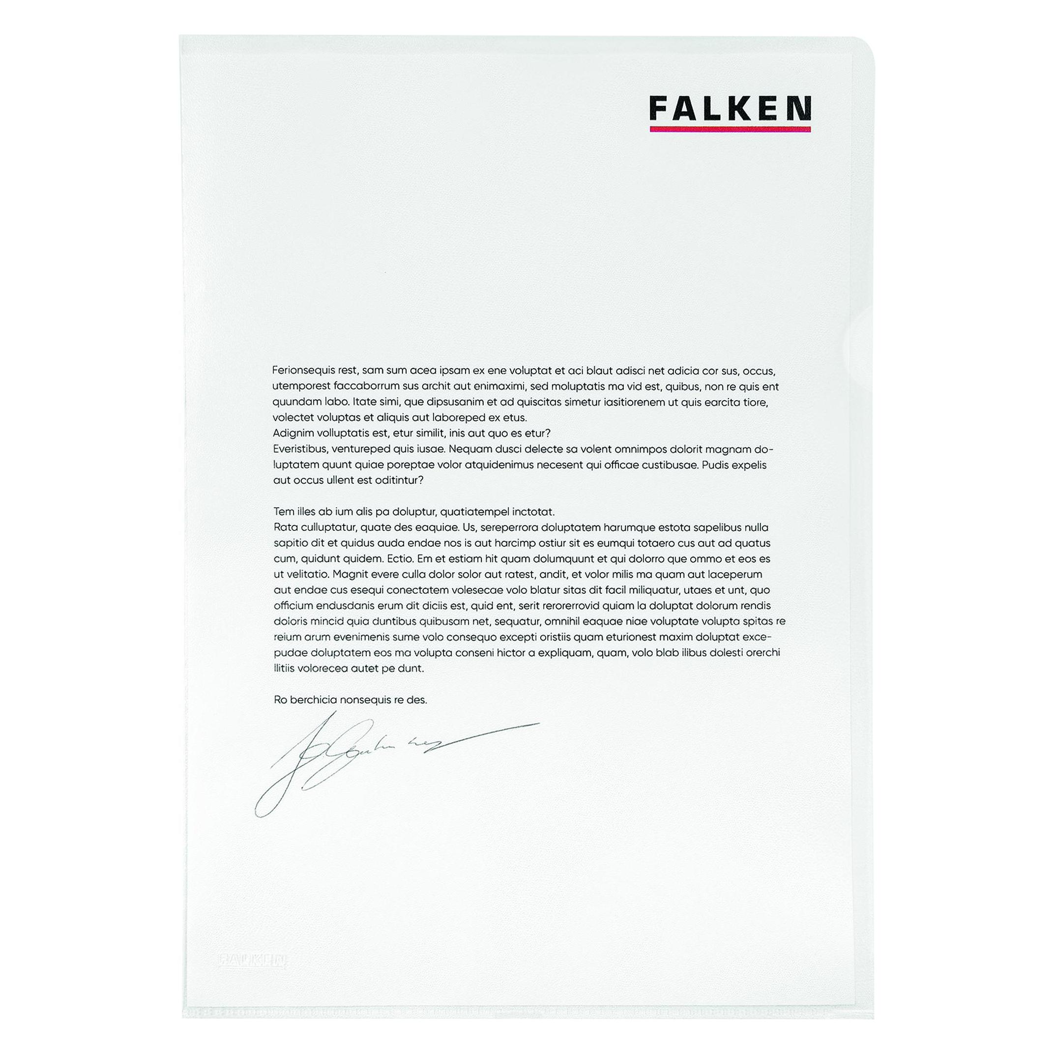 Falken Aktenhülle Economy (A4, 100x) (11297348)