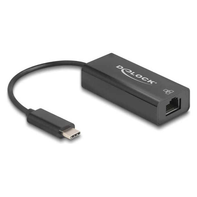 Delock USB 2.0 Type-C Adapter zu 10/100 Mbps LAN (USB 2.0, USB-C) (64306)