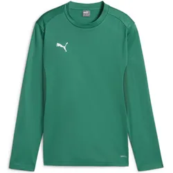 Puma, Jungen, Sportshirt, teamGOAL Training Sweat Jr (140), Grün, 140