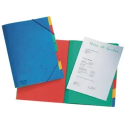 Leitz, Mappe, Ordnungsmappe (A4)